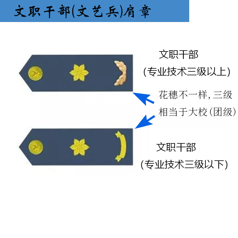 肩章常识介绍#军衔等级肩章#