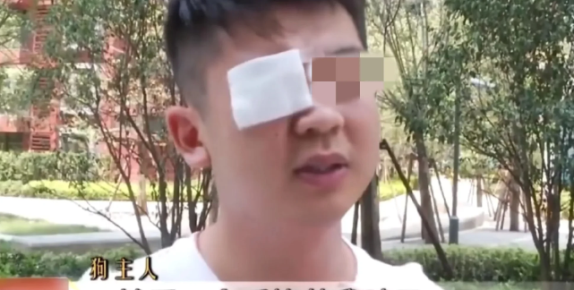 陕西西安，男子遛狗不牵绳，把四岁小女孩吓哭，狗主人竟在旁边哈哈大笑，小区邻居制止