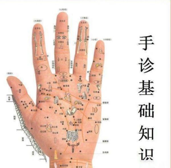 中医手诊口诀#手相怎么看#