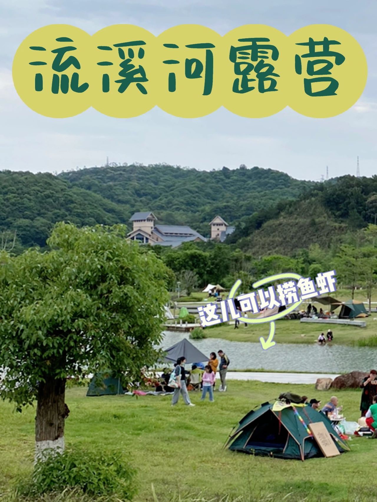 广州｜露营吗❓还能捞鱼🐟钓虾🦐摸田螺