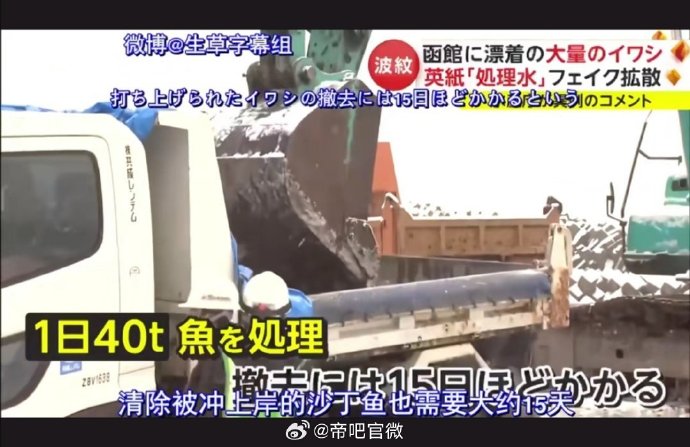 【还不承认？日本离奇死鱼多到渔船寸步难行】

近日，日本三重县志摩市波切渔港发现