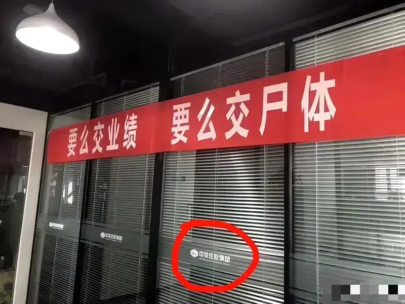 公司口号