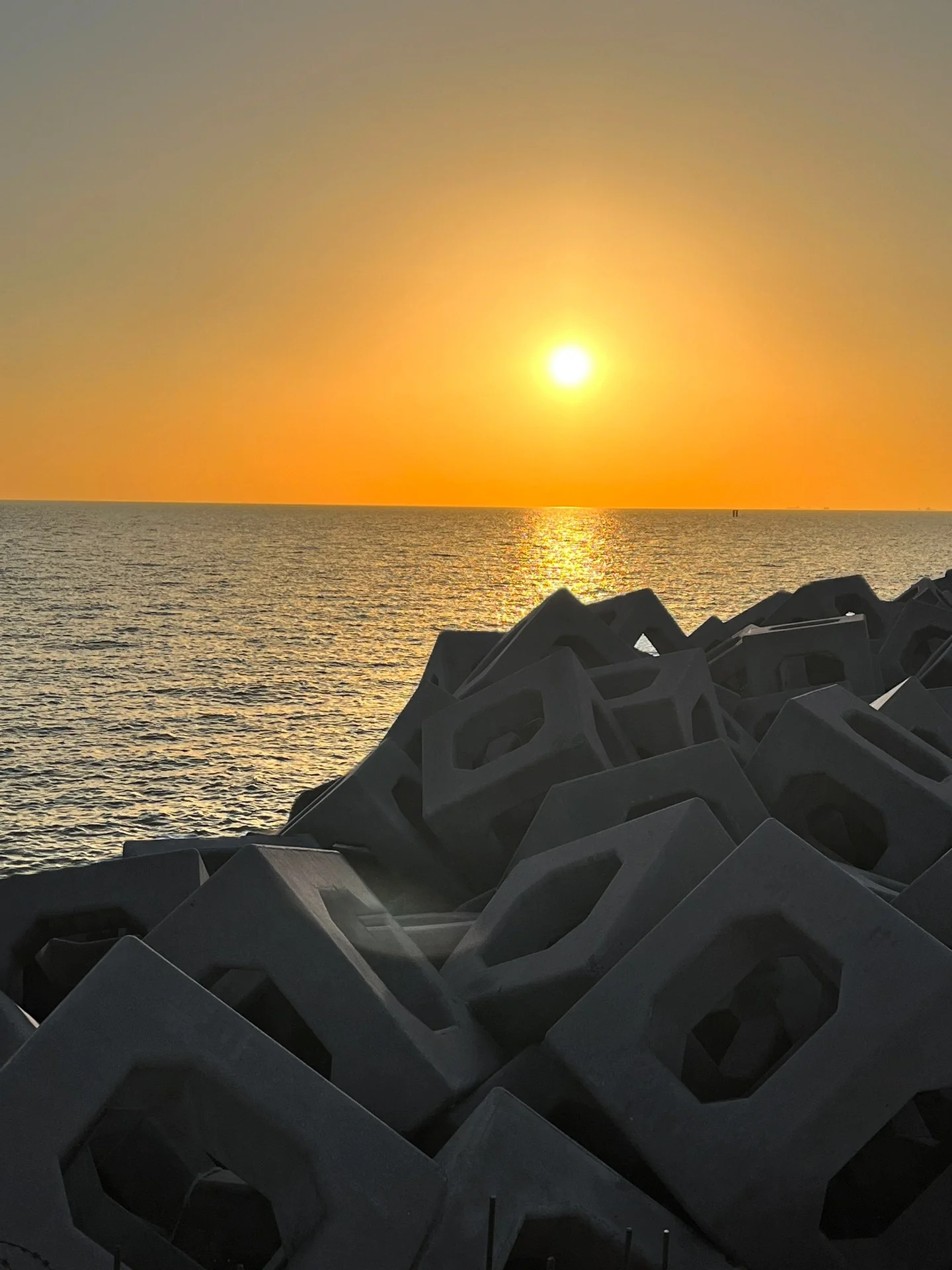 天津| 超级懒人两日攻略