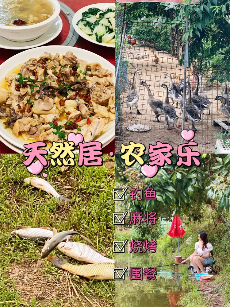 周末好去处|来大岭山森林公园农家乐钓鱼
