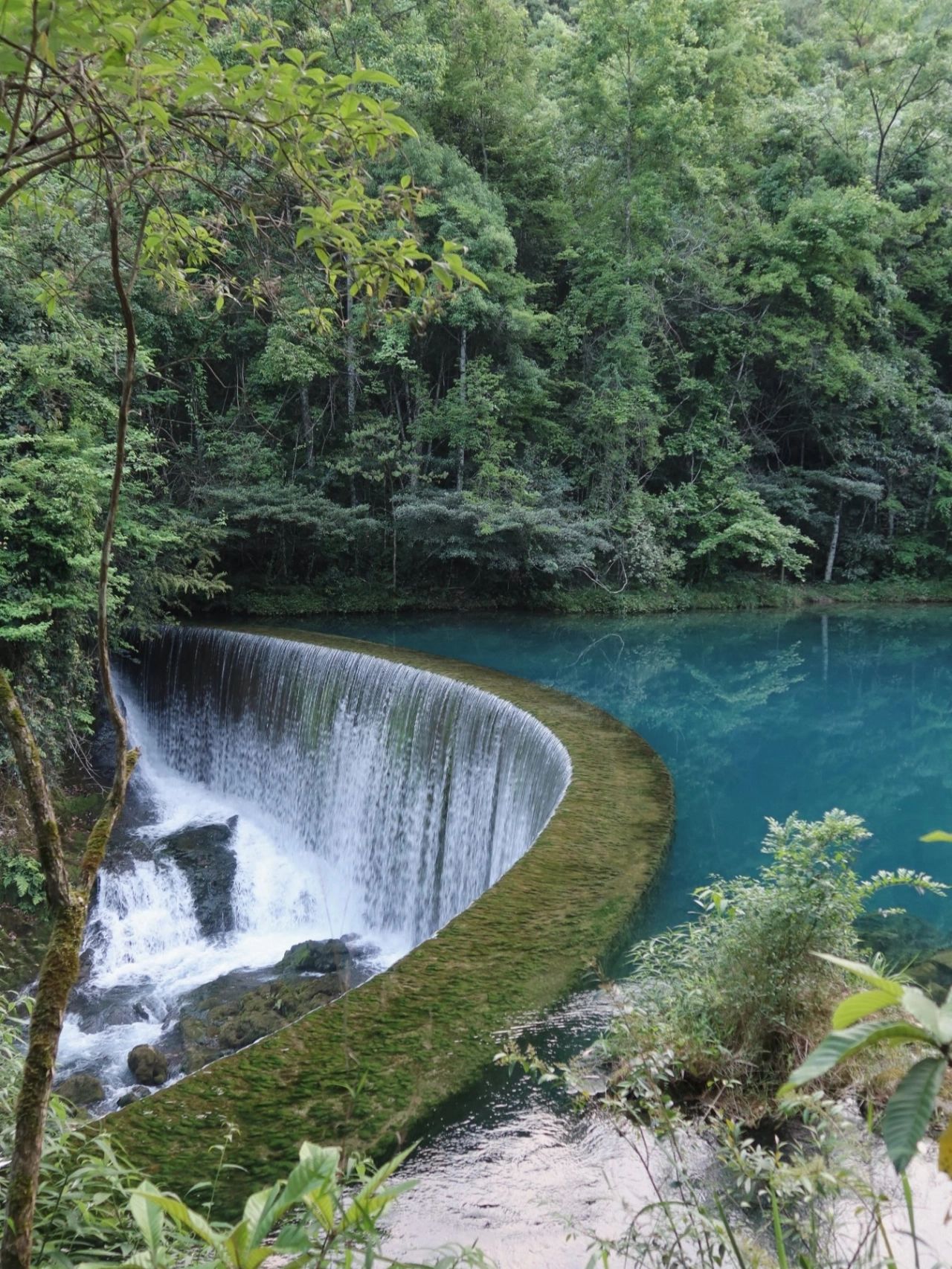 旅行｜荔波小七孔拍照游玩良心全攻略！