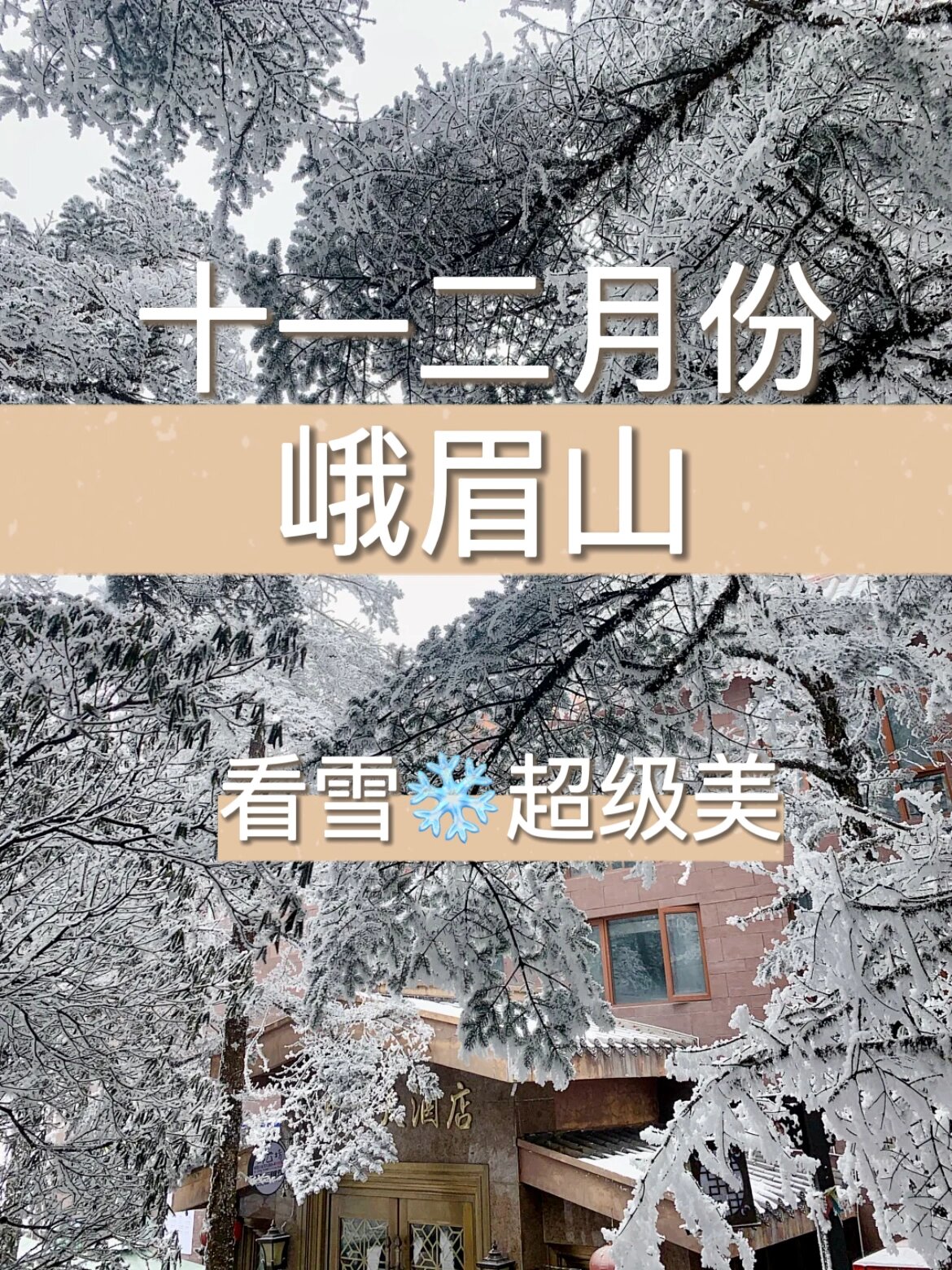峨眉山一日游攻略❄️冬天来这里看雪吧