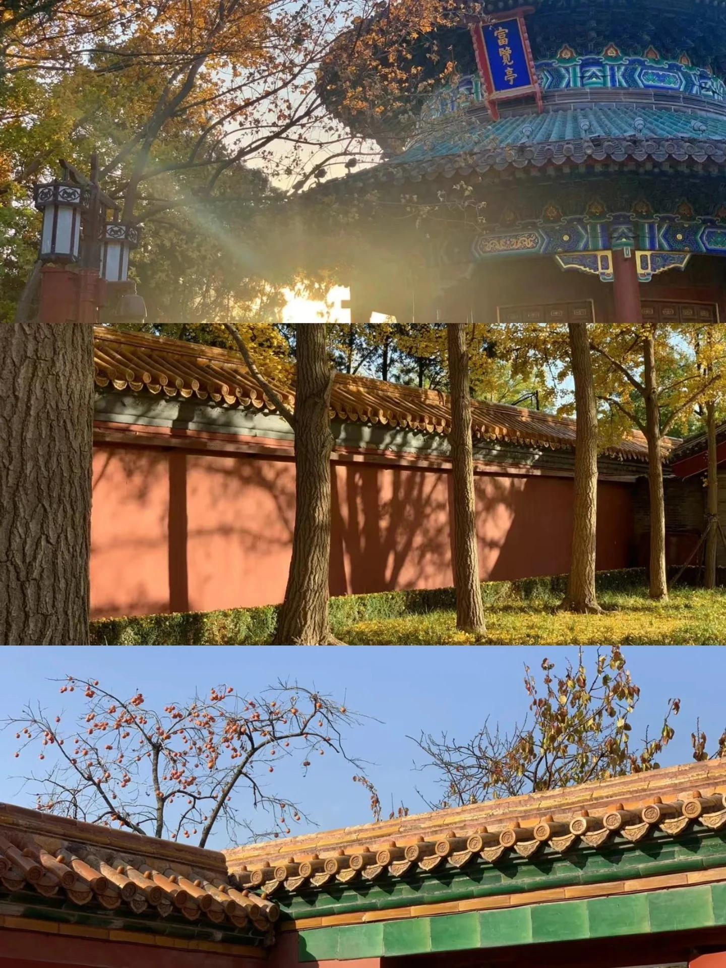 人生建议：秋天一定不能错过的9个地方🍂