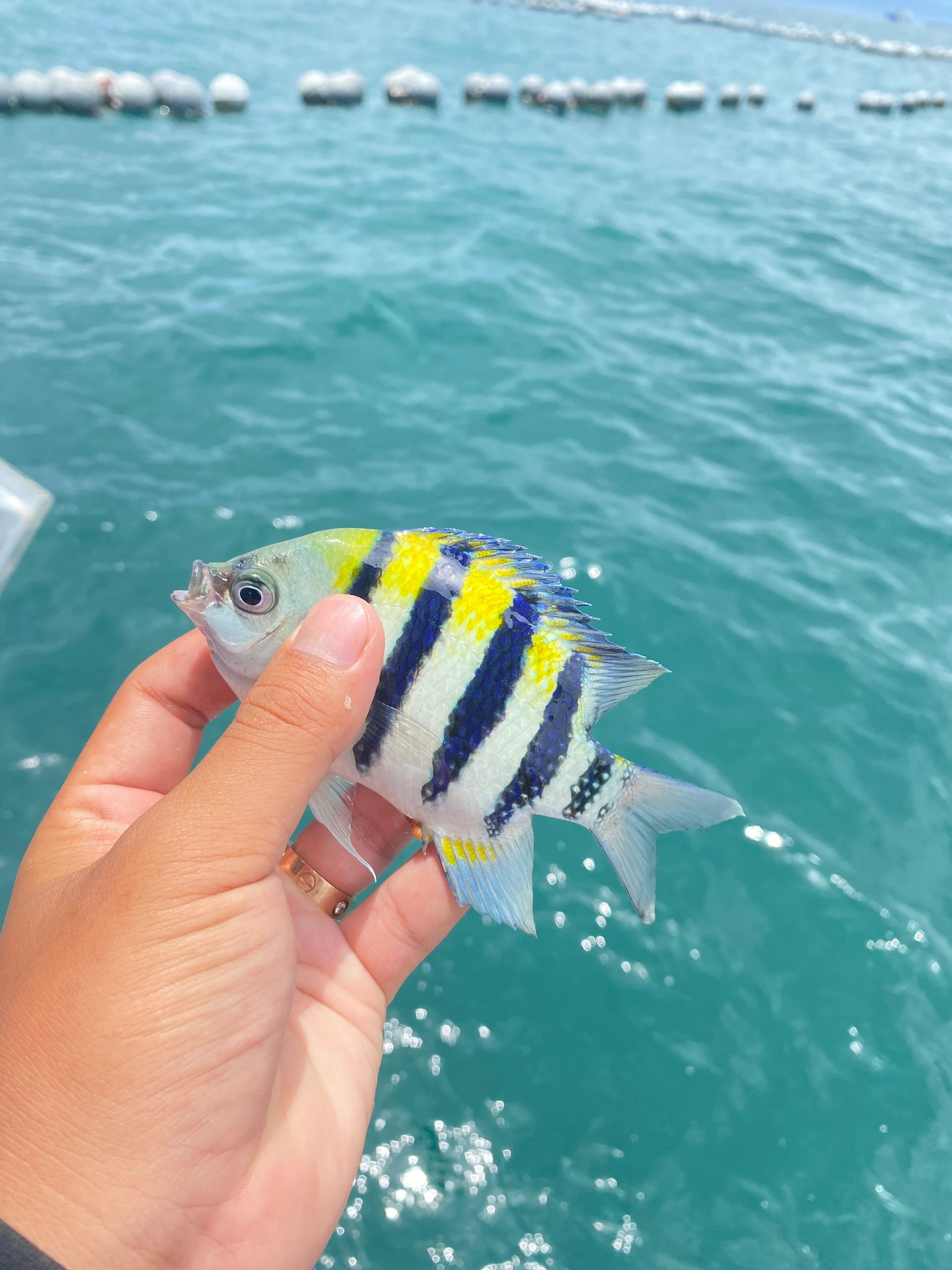 深圳周末怎么过？150深海垂钓搞一下！！