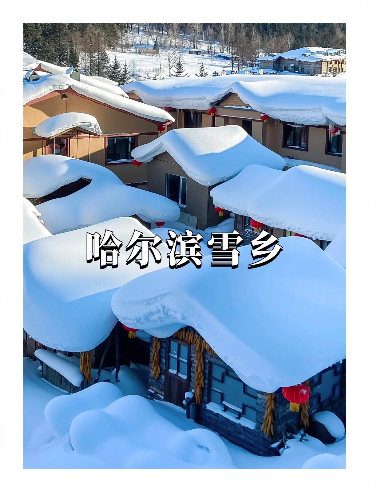 冬季玩雪蕞佳好去处😍你知道几个🤔