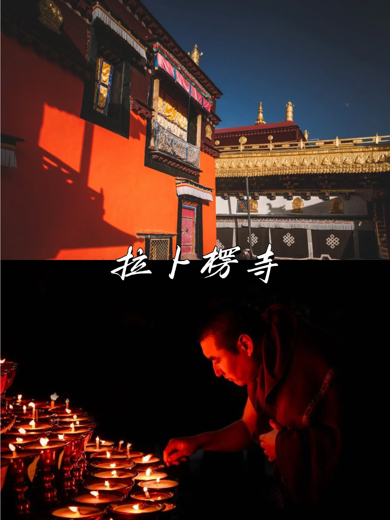 甘南暑假9天游❗️多家庭组队式出行