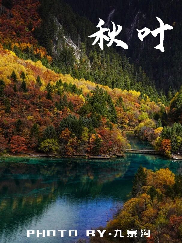 错过还要等一年！成都周边看红叶8大盘点