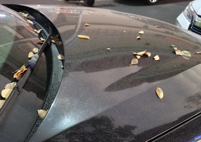 今天下午，我报警了！

因为车子不知道被喷了油还是糖水，几乎满车，树叶飘下来都粘
