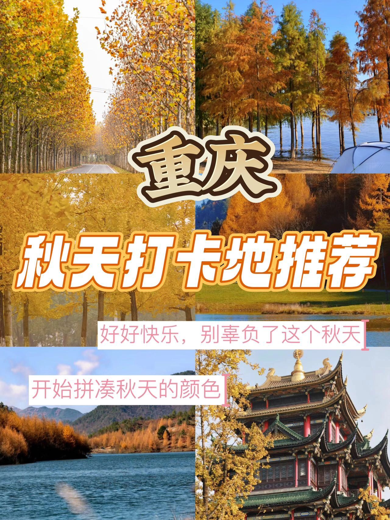 谁说重庆无秋天，重庆赏秋合集