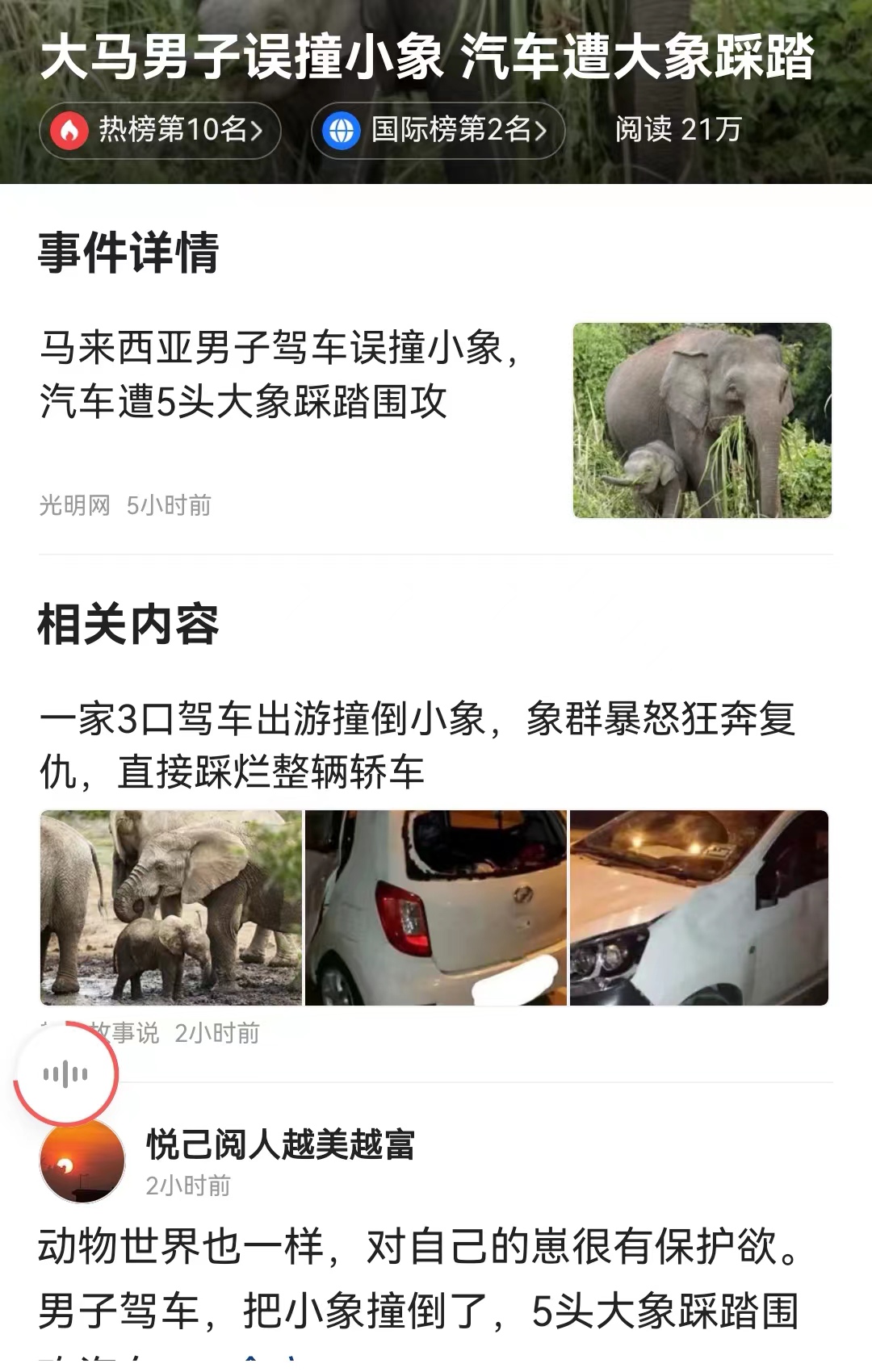 #大马男子误撞小象 汽车遭大象踩踏# 大象可记仇了！在过去已经有多种多样的此类案