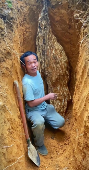 在大自然的怀抱中，我们总能发现一些令人惊叹的事物。近日，广西百色一位勇敢的男子在