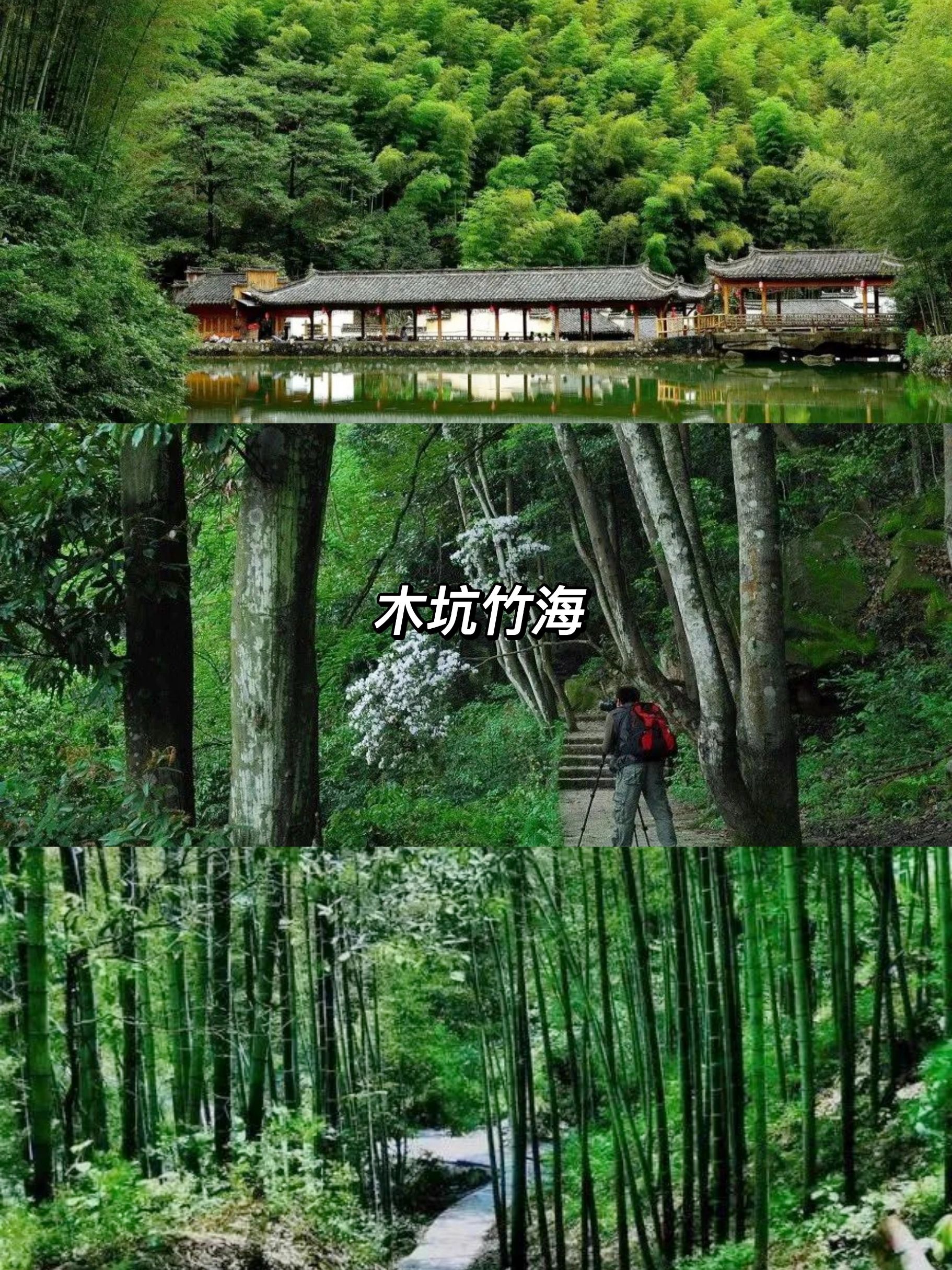 合肥吸氧秘境+清凉玩水+竹林瀑布+避暑