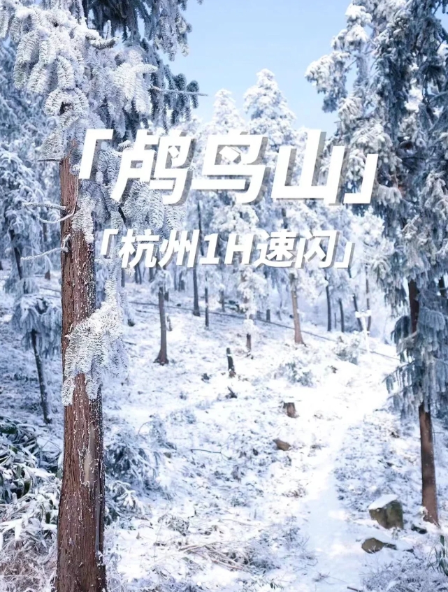 杭州开车一小时玩雪｜冬日雪地遛狗好去处