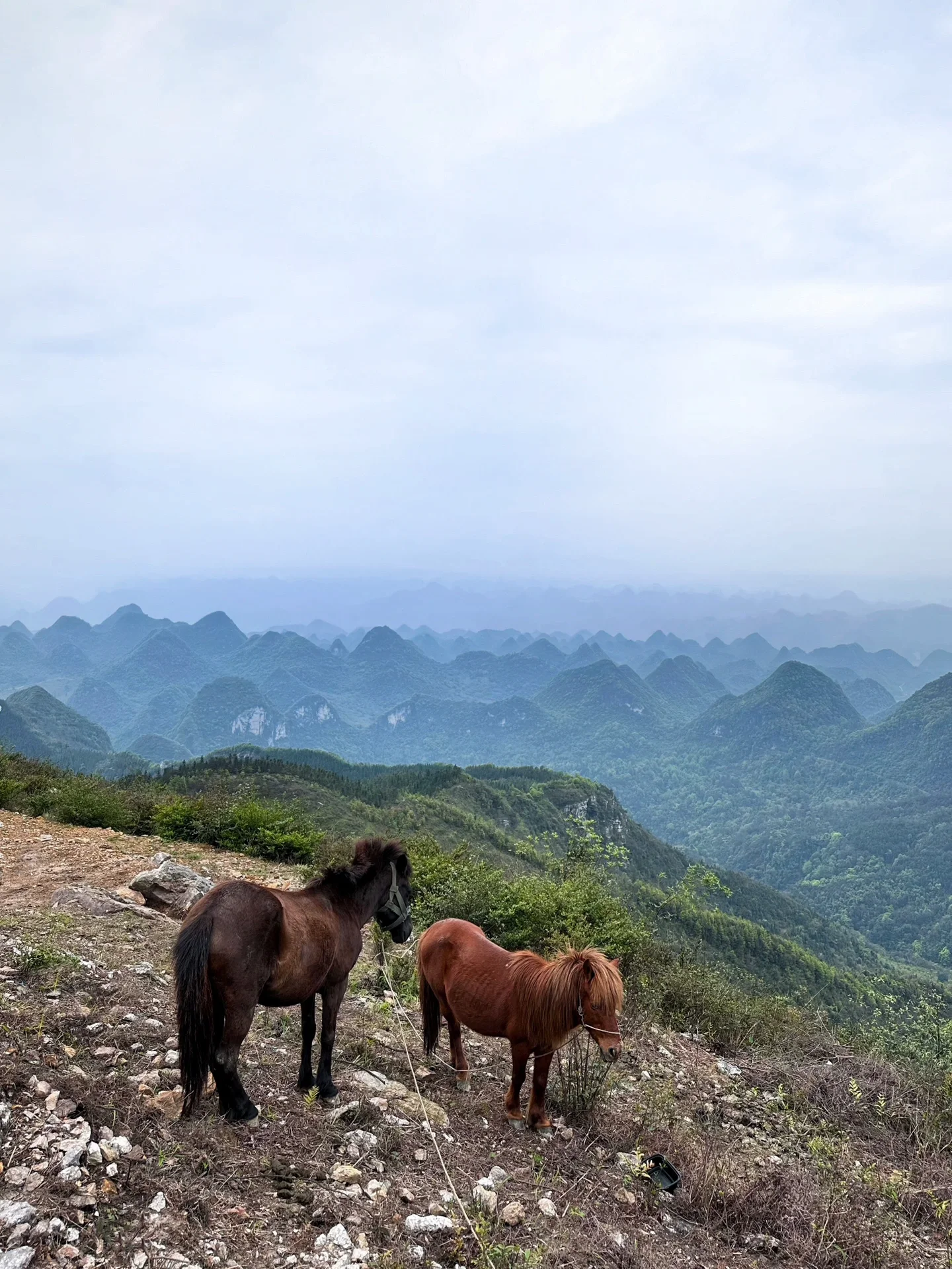 适合女生徒步路线⛰️莫六公山