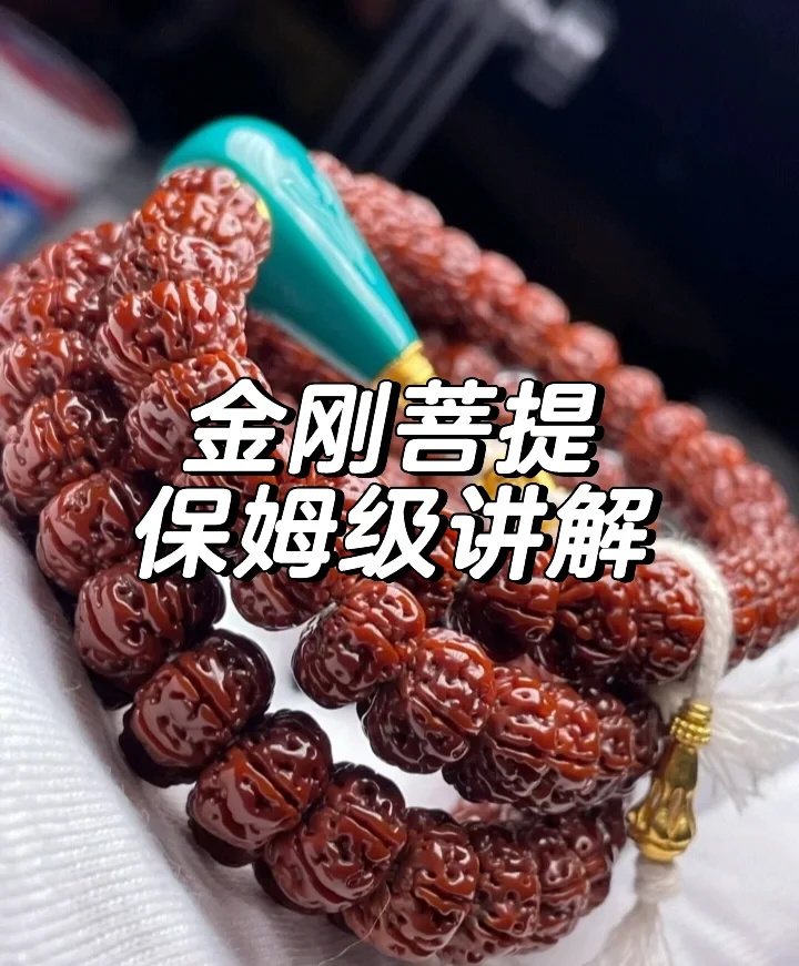 玩金刚菩提必须具备这六个知识点