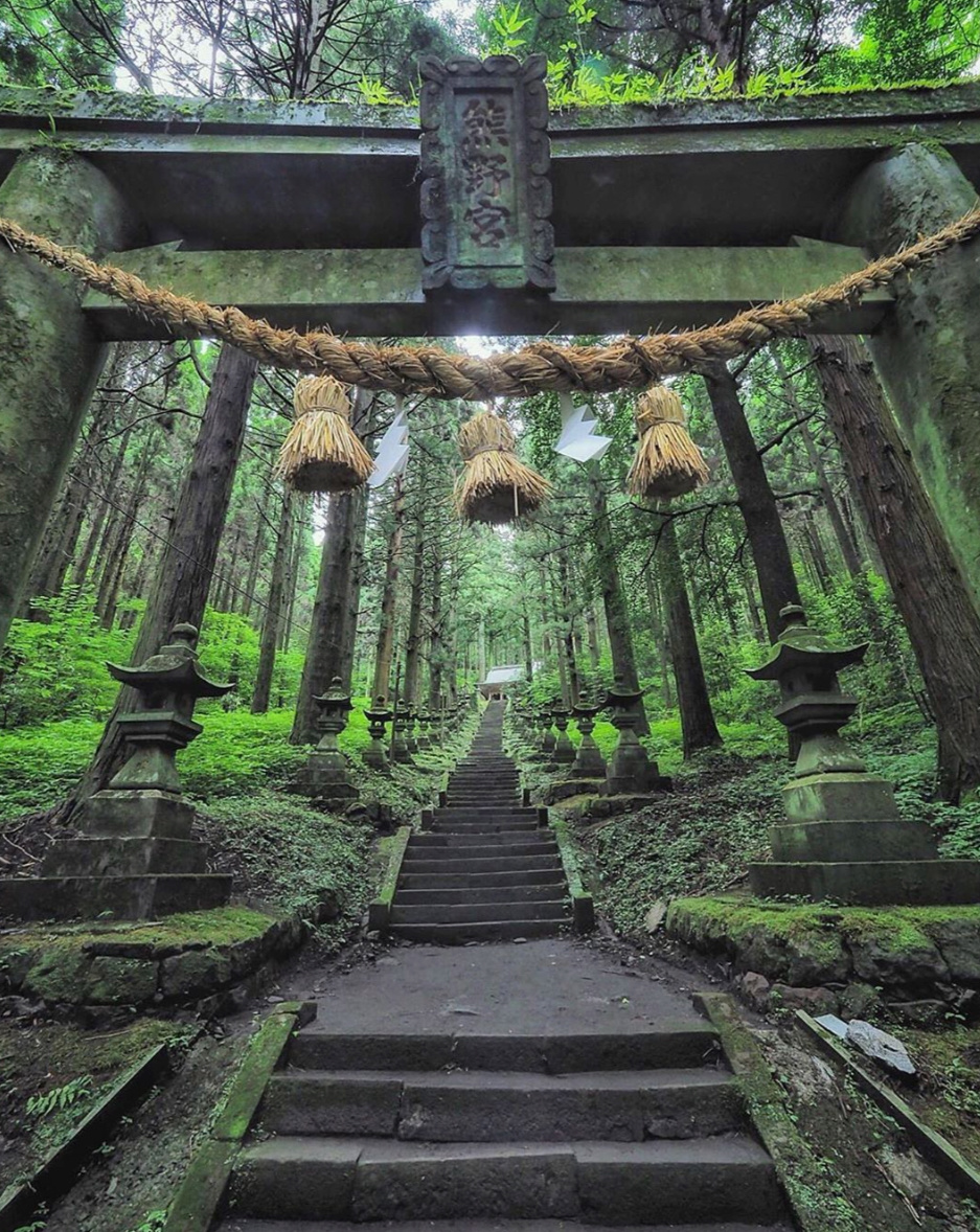 日本小众景点|进入深绿异世界的梦幻之地