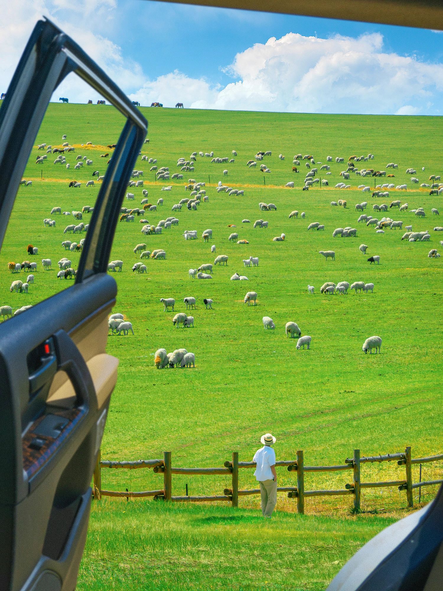 内蒙古六日游，超详细路线攻略