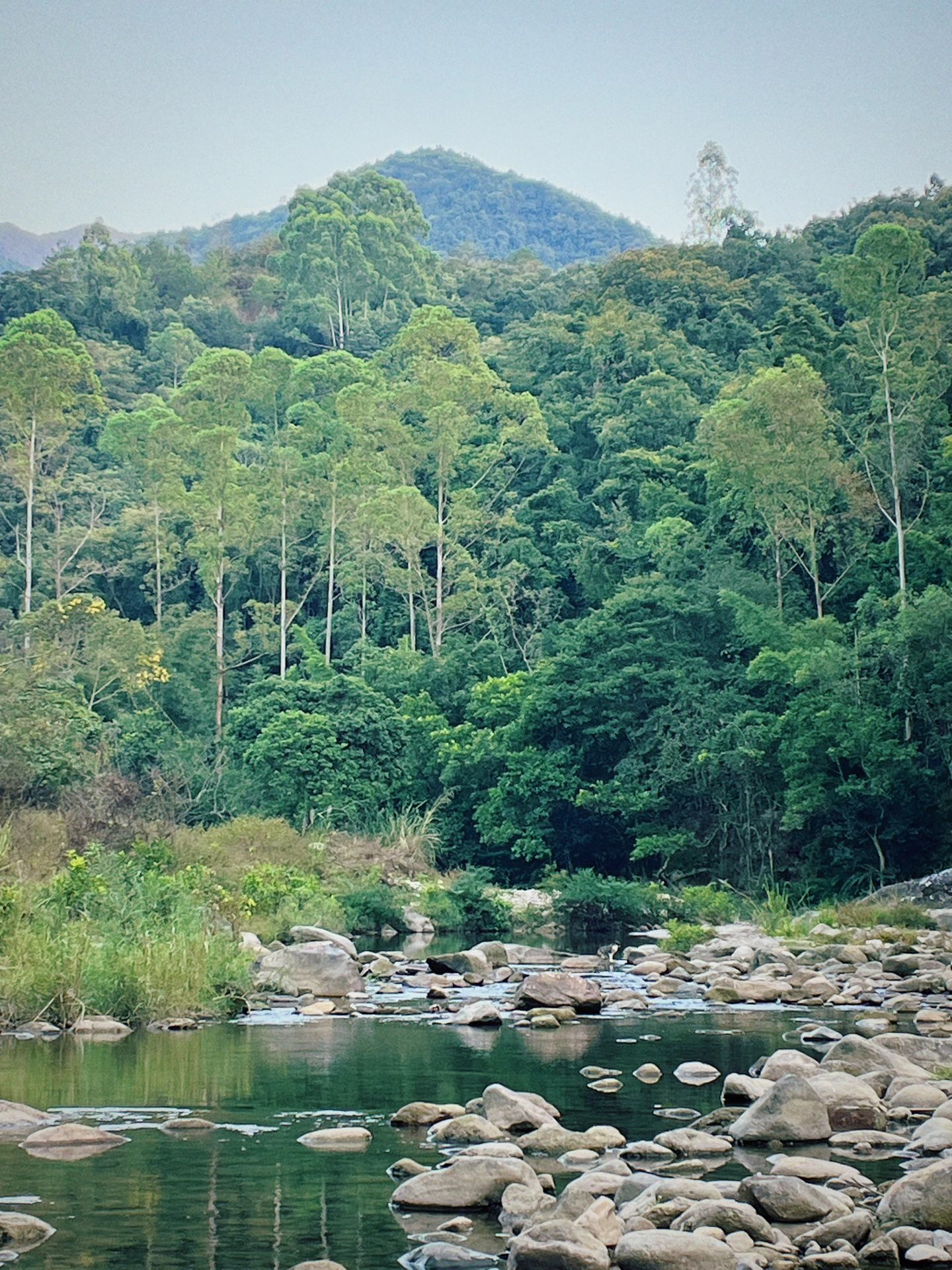 广州玩水露营宝藏地|趁没有大火🔥冲呀！