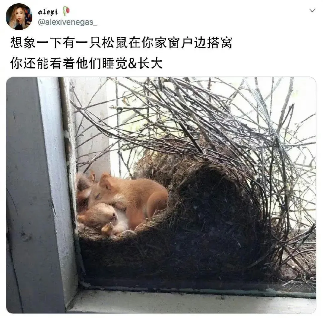 这是上辈子积了多大德哈