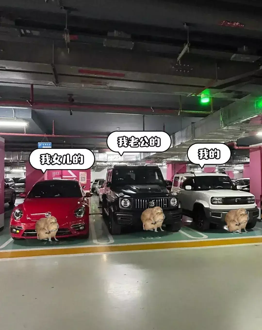 这样的家庭，应该超过全国51%家庭！