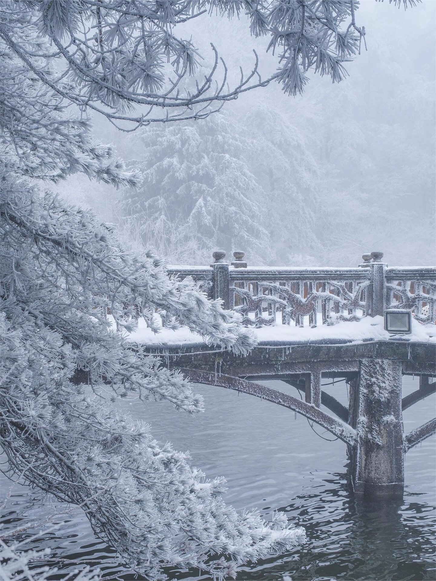 江西庐山🏔，堪称南方看雪天花板！！