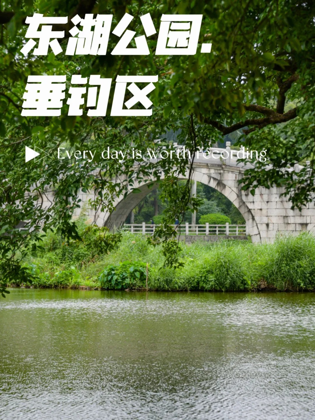 来这里钓鱼吧，东湖公园里隐藏着一个垂钓区