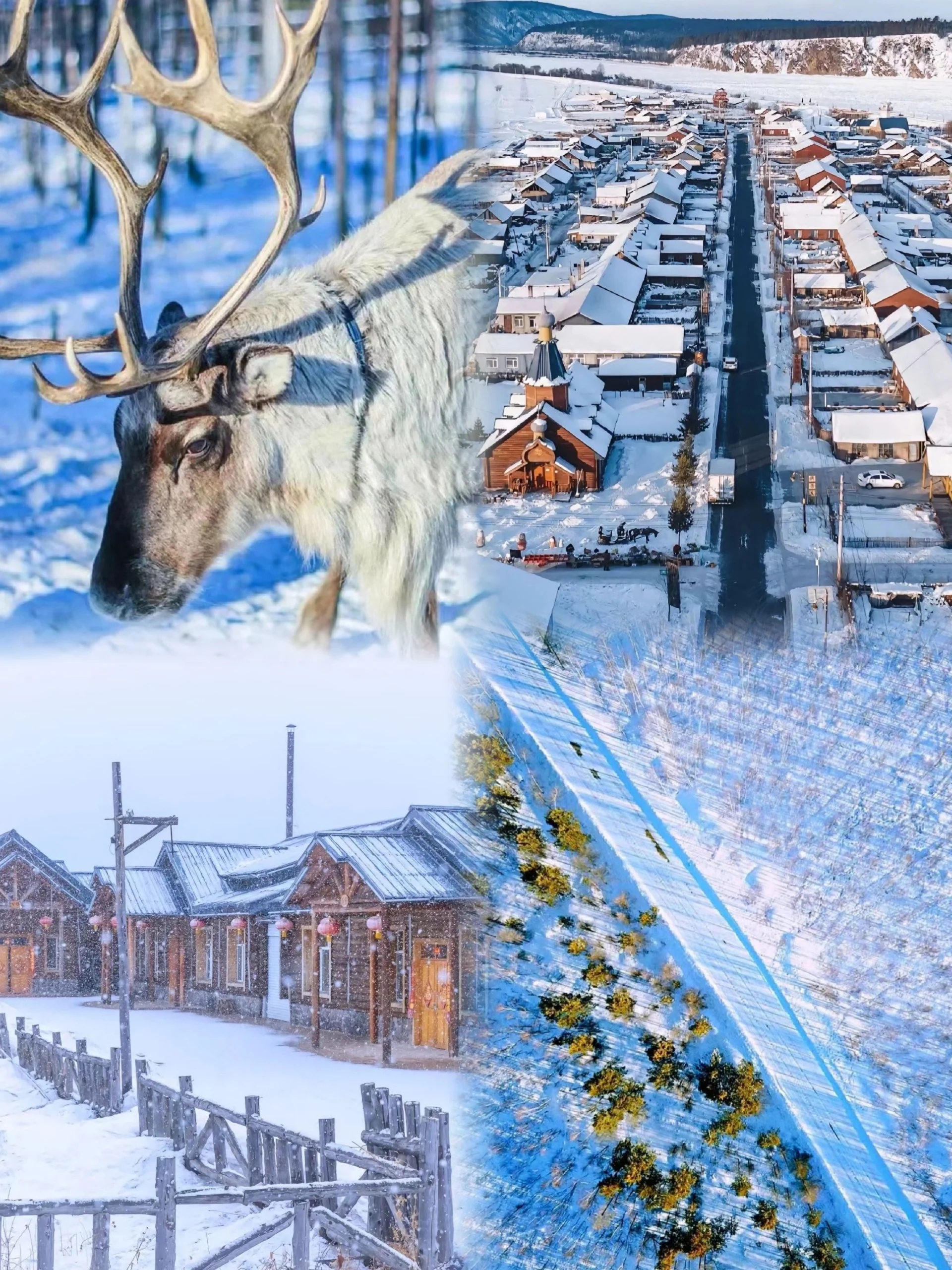 总要带孩子去体验一次冰雪奇缘吧❄️附攻略