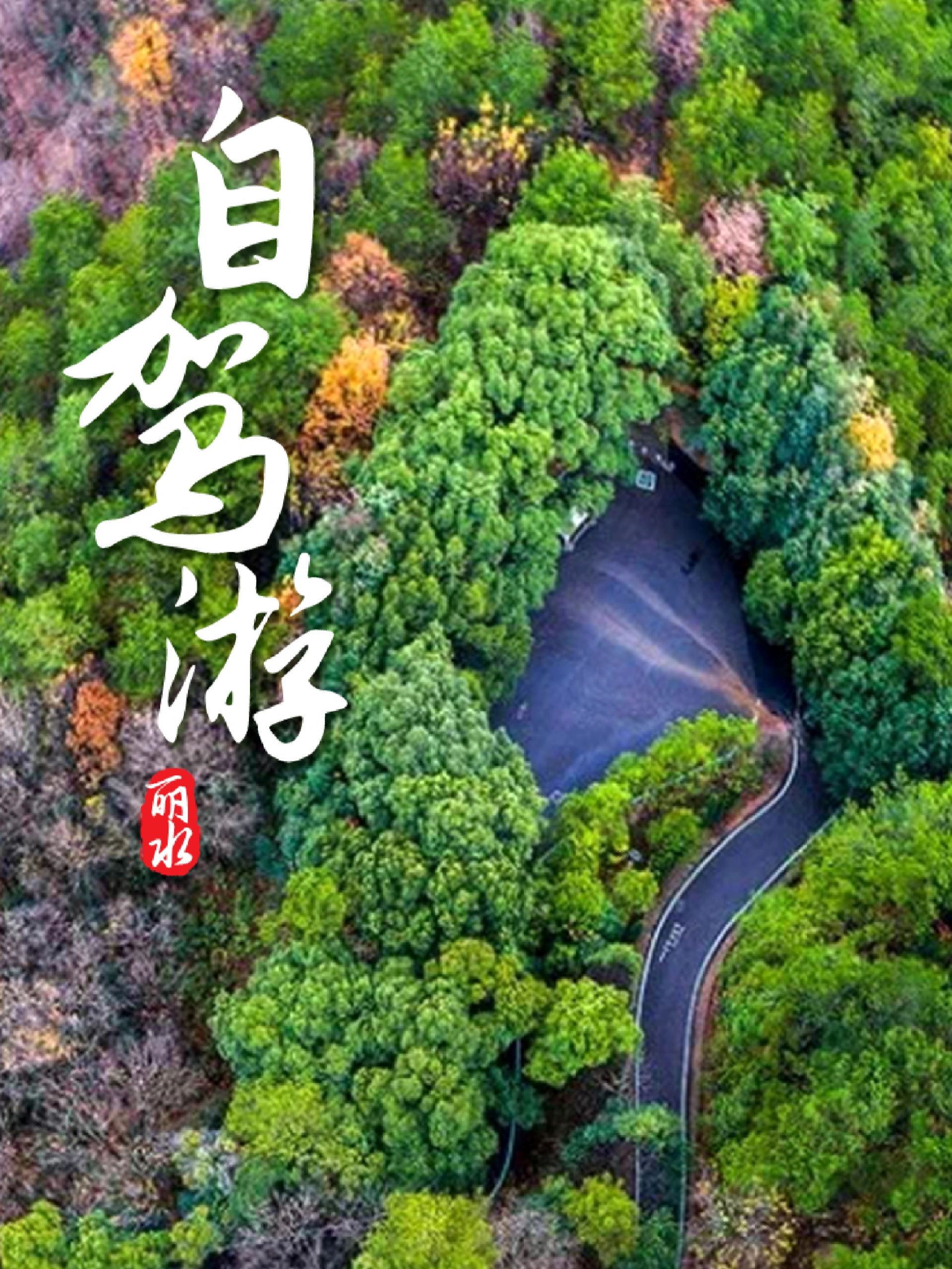 丽水深度自驾游攻略，六天五晚