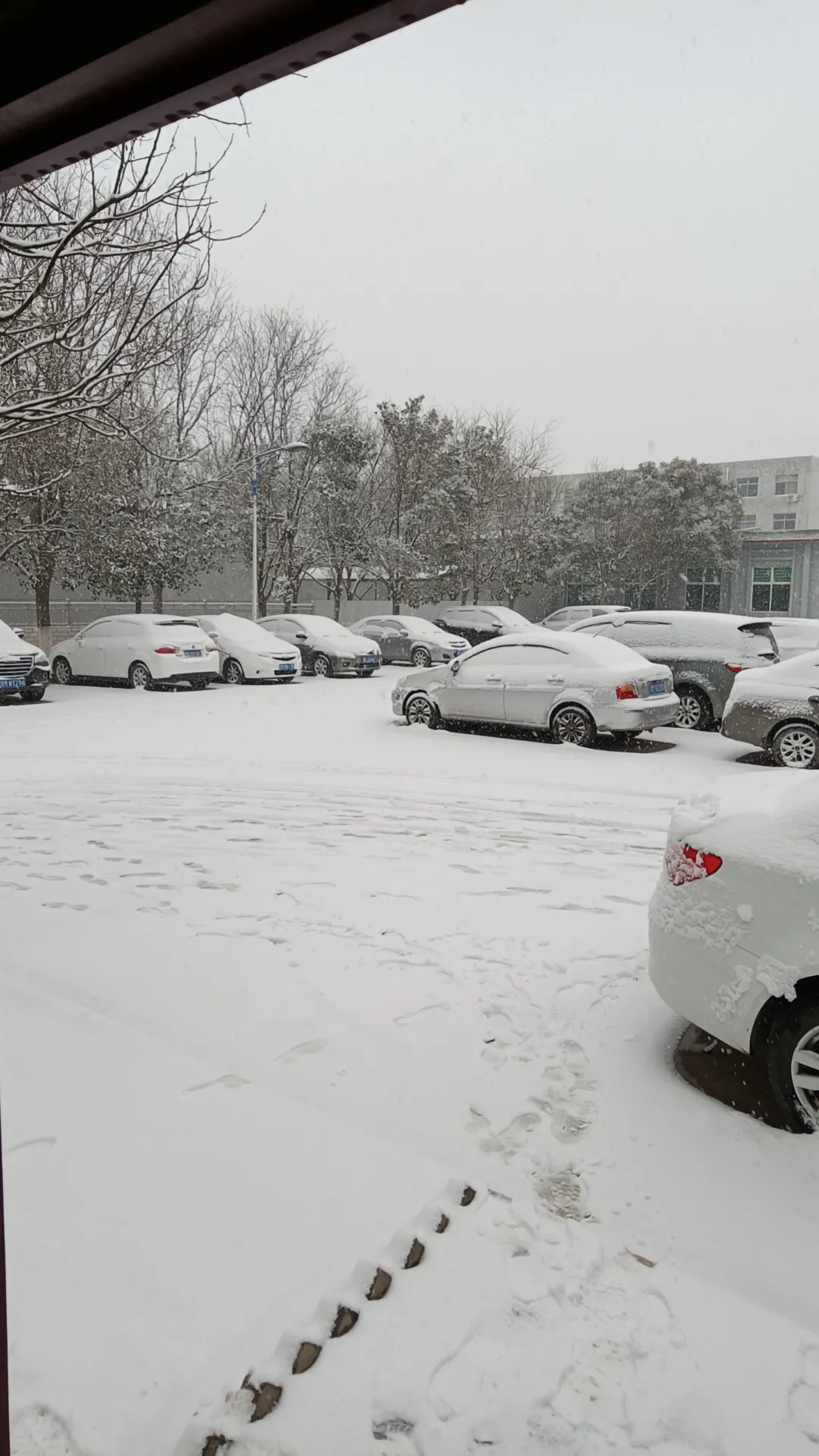 2024年冬天下大雪了，
有人问一个老工人，你怎么不去厂里扫雪呢？老工人说:我年