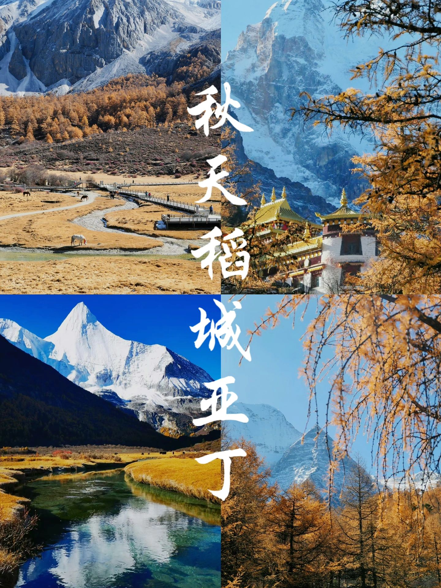 秋天游稻城亚丁，看这篇就够了