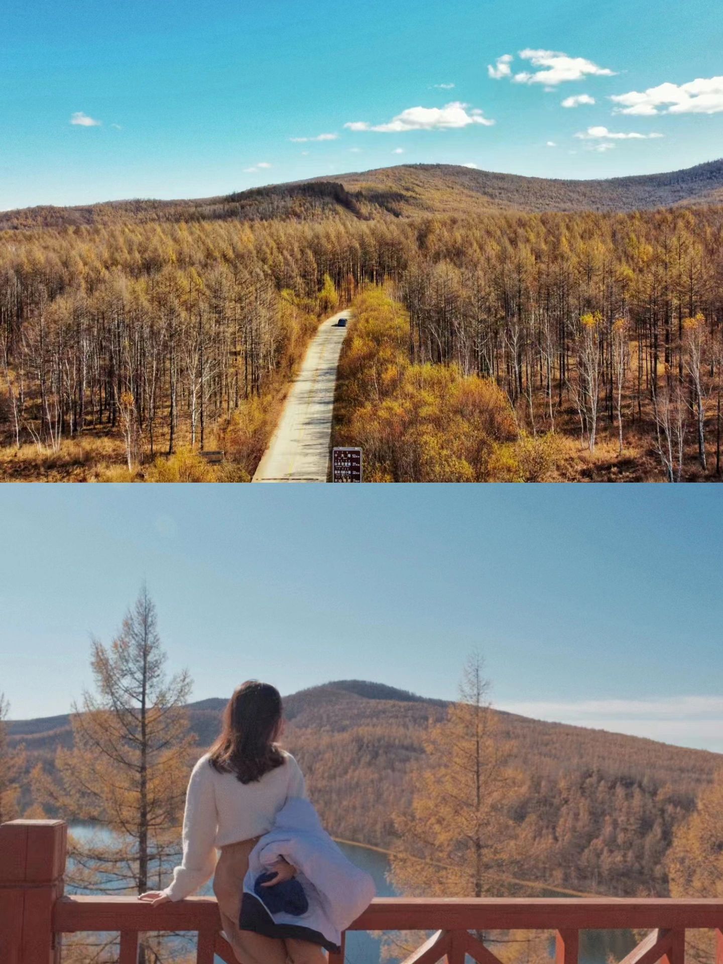 总要来一次阿尔山吧，看下秋天的美景