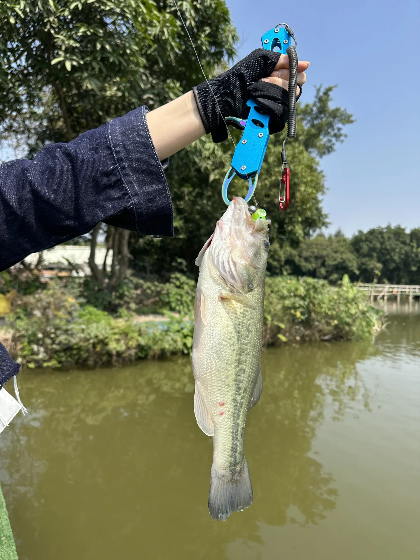 让一让，姐姐上鱼了！！