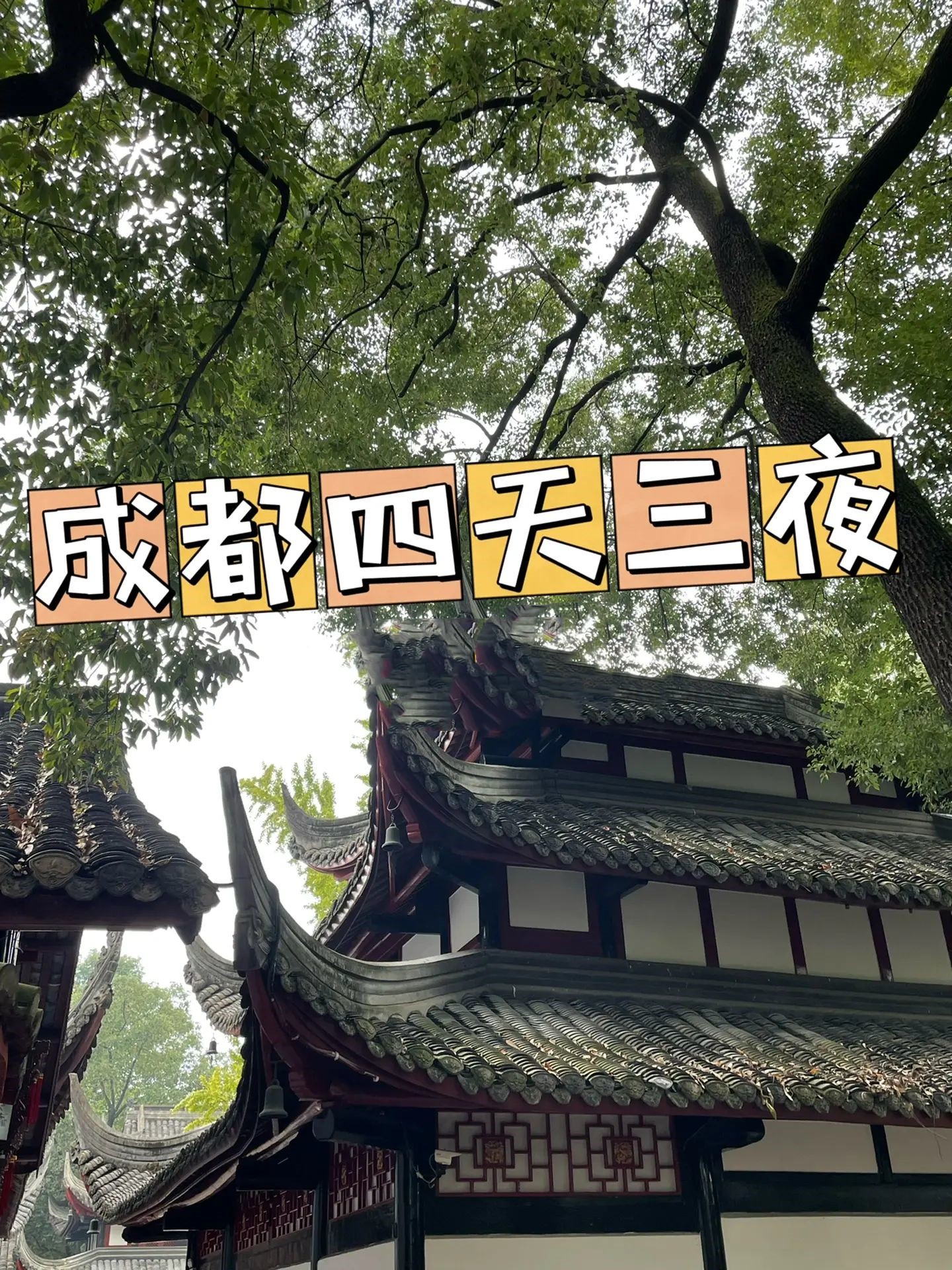 成都｜四天三夜保姆级攻略