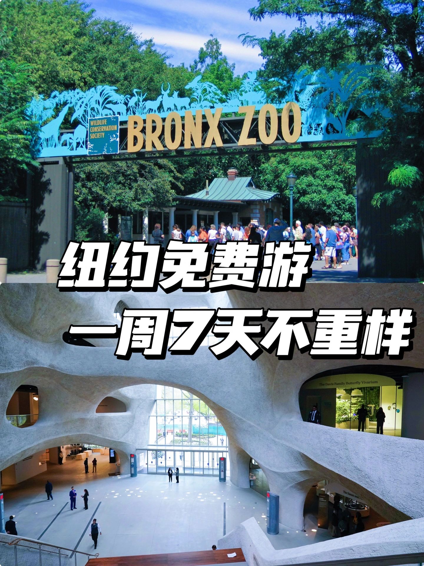 大纽约免费玩，一周7天不重样