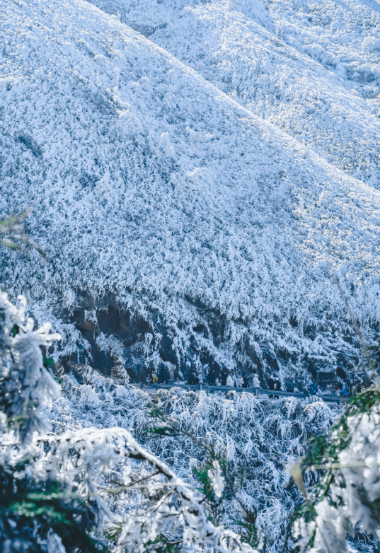 不出广东即可赏雪
不是哈尔滨去不起，而是广东赏雪更有性价比
没有一个广东人可以拒