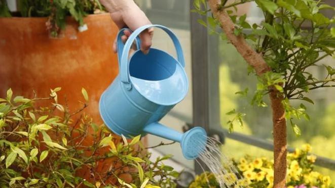 学习如何成为一名好的生活教练？