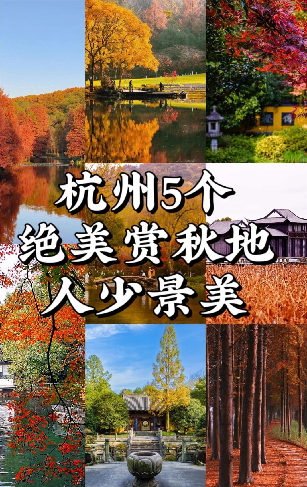 杭州5个绝美赏秋地丨人少景美