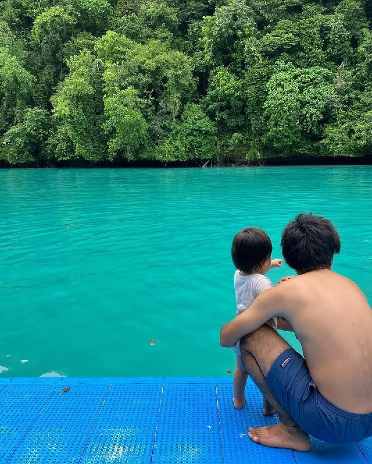 帕劳旅行｜带孩子怎么玩，看这篇就够了‼️