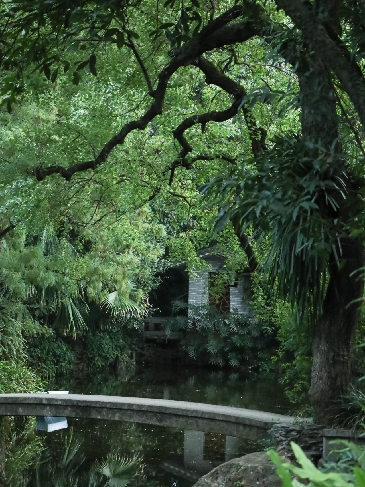 二刷攻略🍃广州居然也有这么好看园林公园