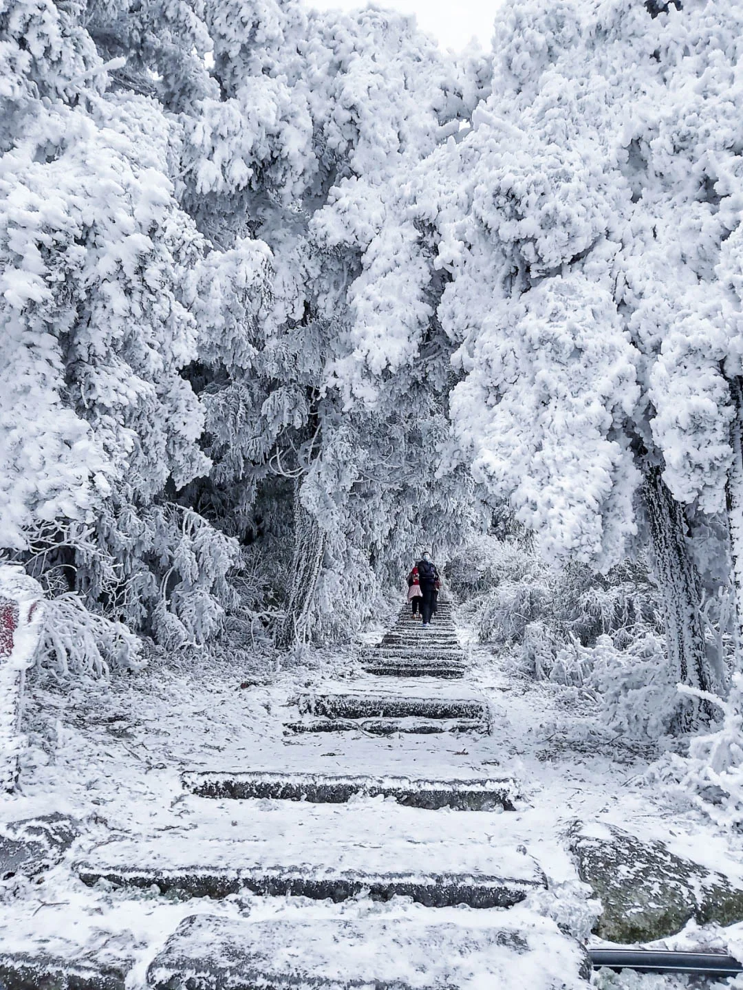 衡山阵雪！！想看雪的姐妹们周末可冲！
