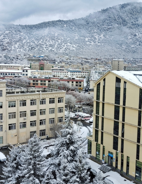 林芝2024年第一场雪🌨 
坐标：林芝市人民医院 ​