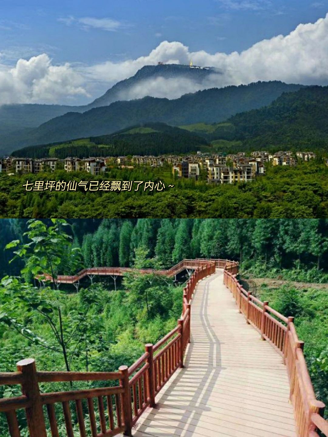 峨眉山好玩的已经夸腻了