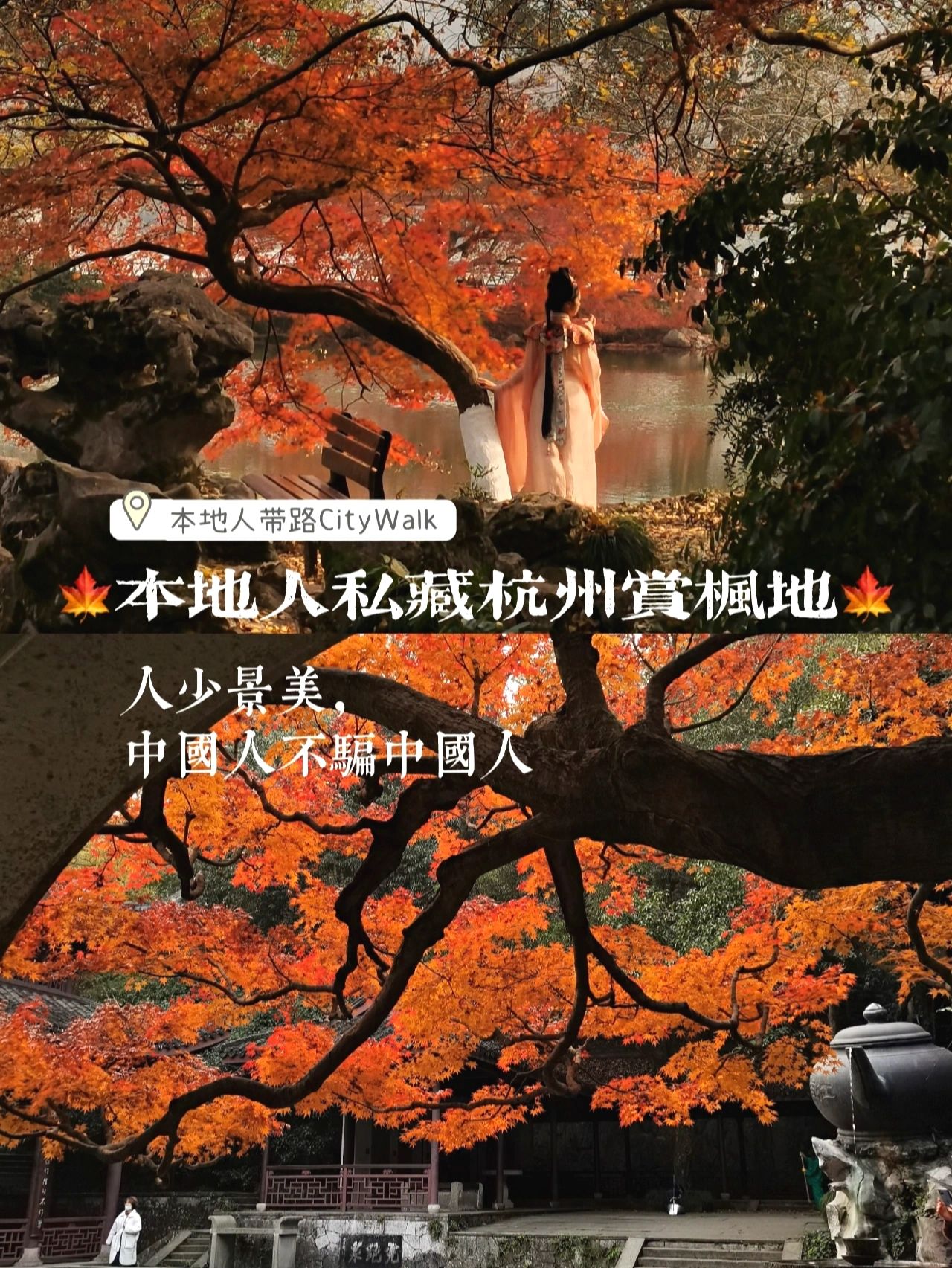 杭州赏枫本地人只去这2个地方