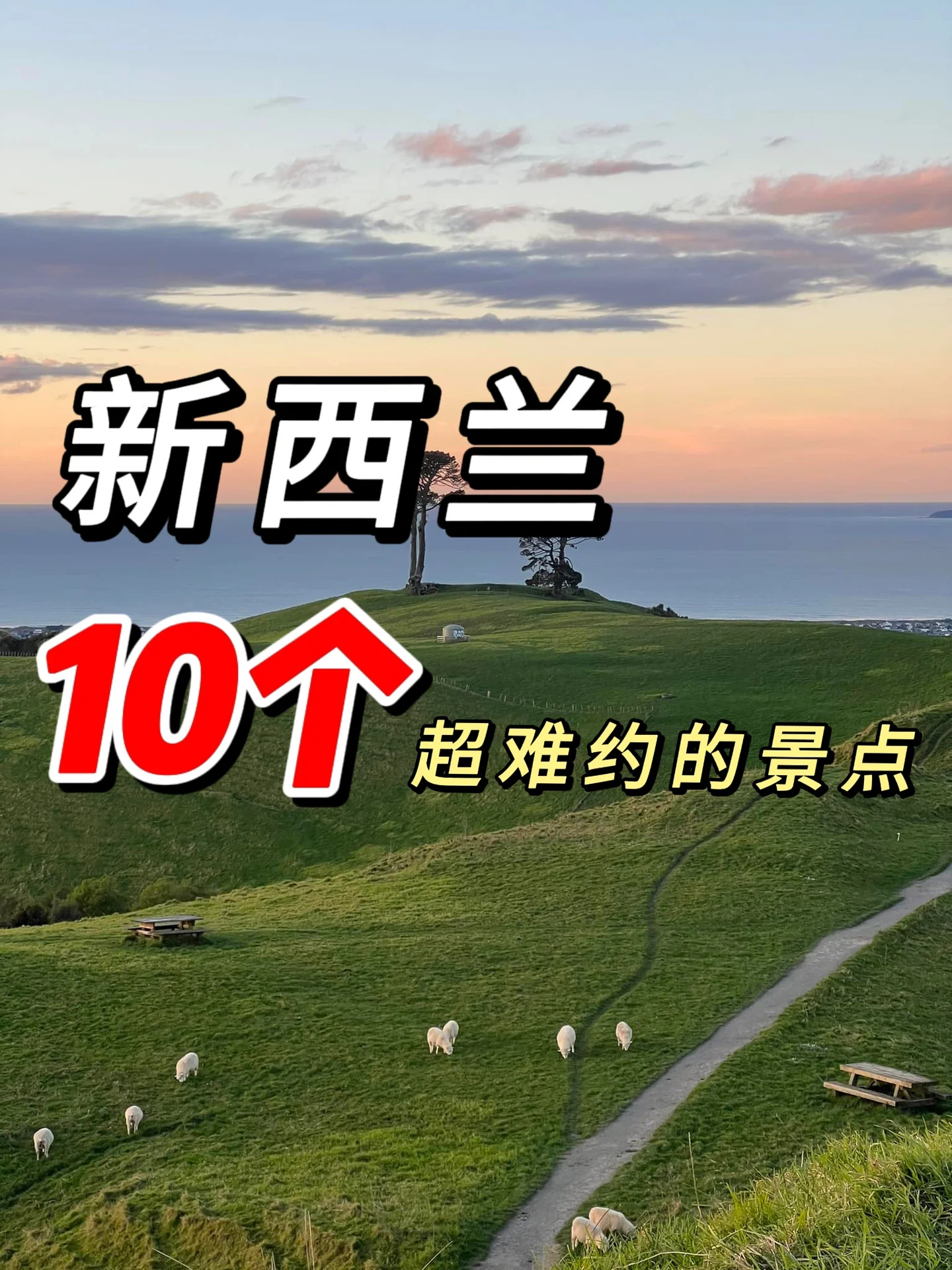 国庆去新西兰的 一定要收藏起来