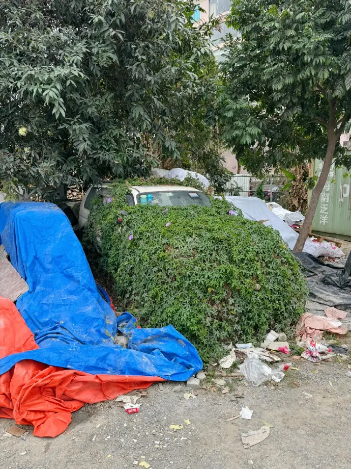 发现一辆僵尸车，太惨了…

认真一看，2019年还在年检，不知道它经历了什么，它