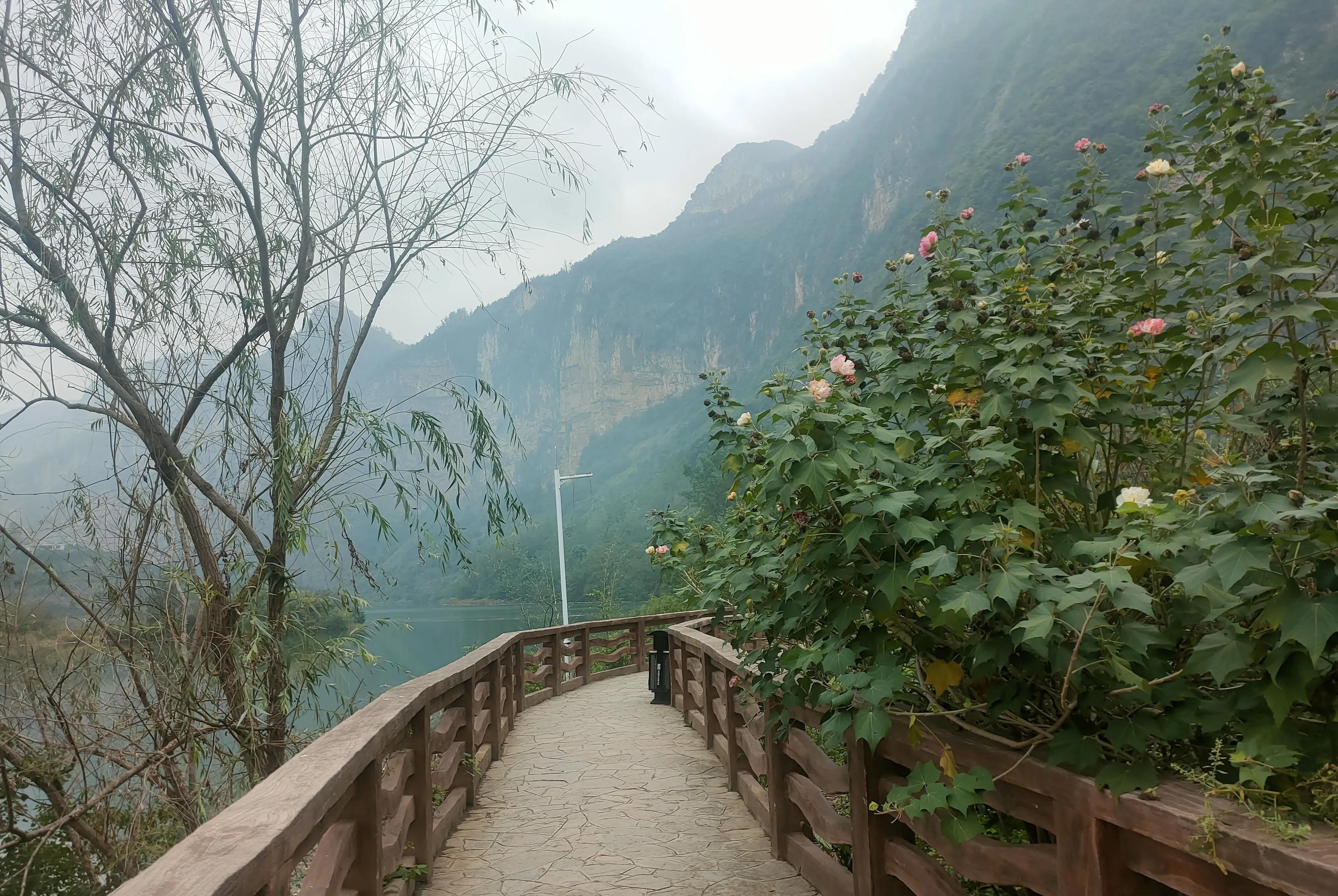 美国满世界的借饯，转身却为美国的学生免除了80.4万名学生390亿美元的助学贷款